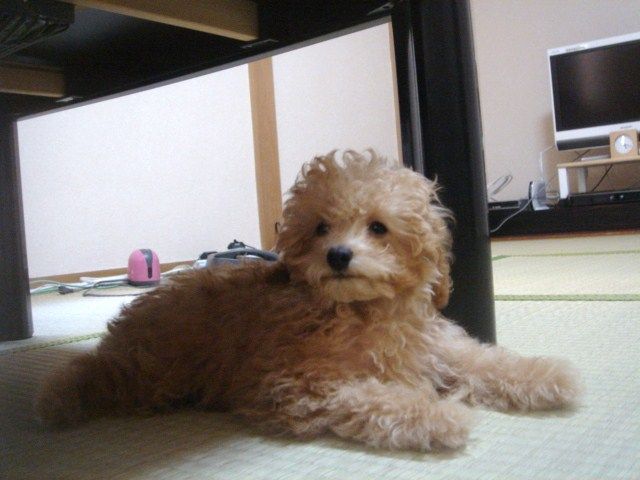 イメージ 3