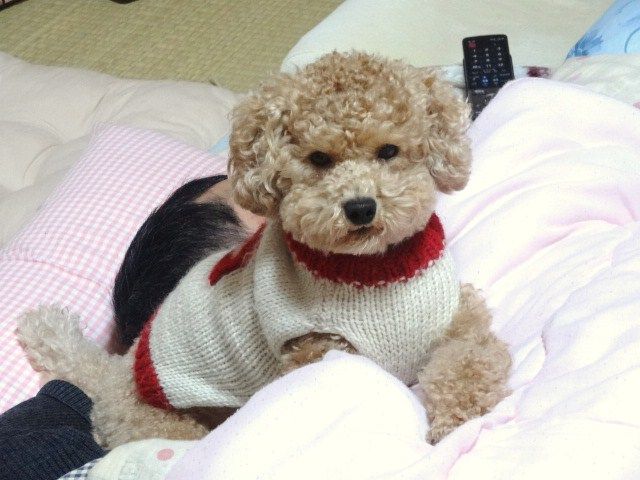 イメージ 1