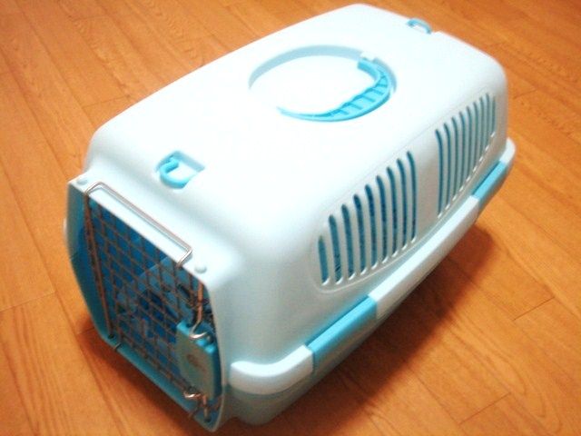 イメージ 10