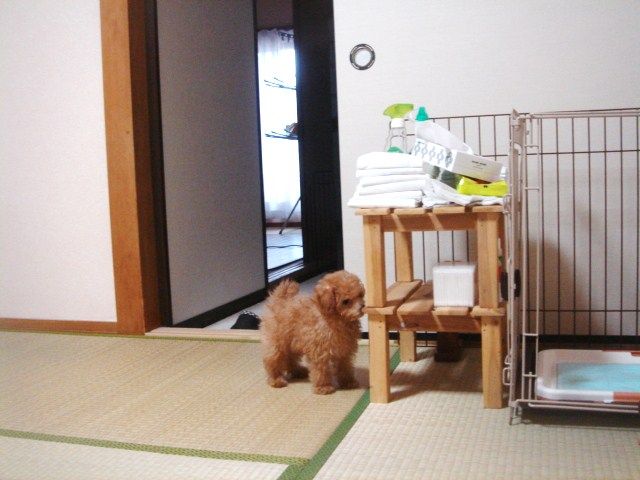 イメージ 2