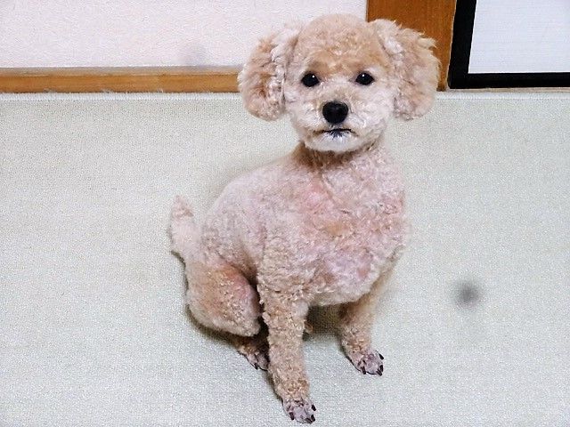 イメージ 2