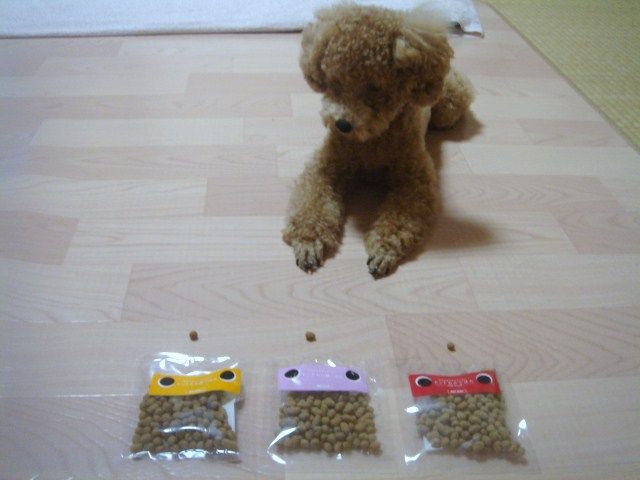 イメージ 16