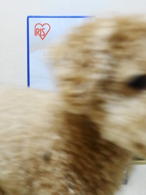 イメージ 6