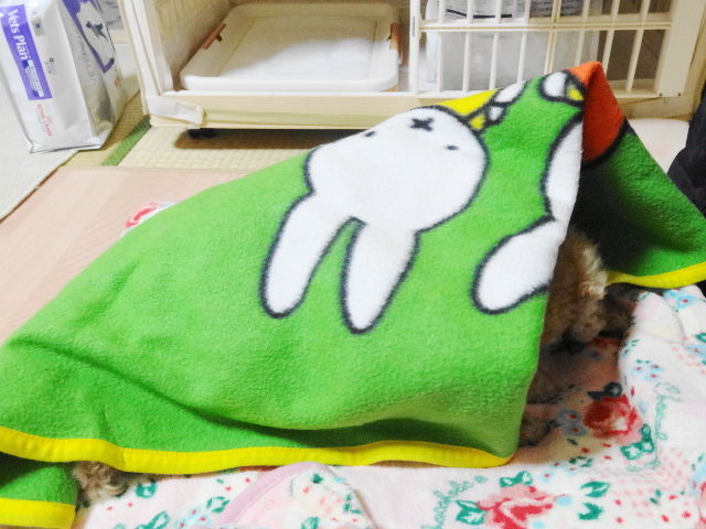 イメージ 3