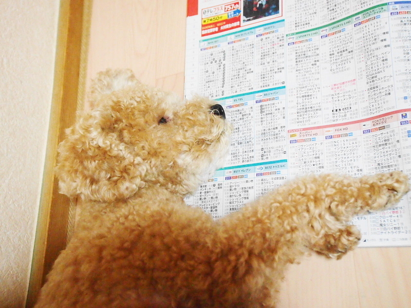 イメージ 1