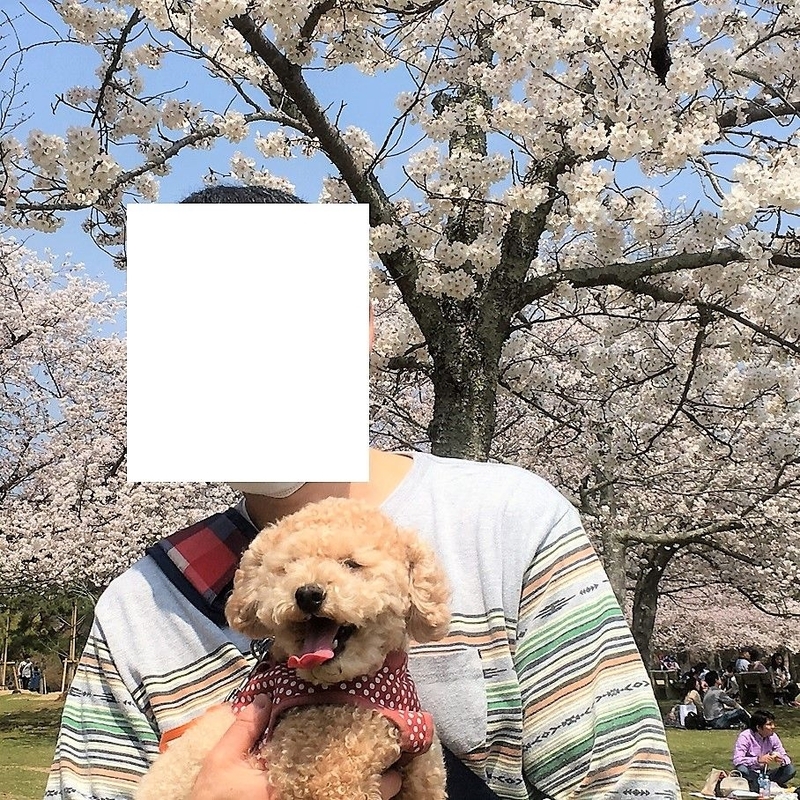 イメージ 6