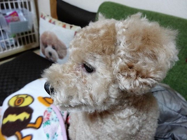 イメージ 9