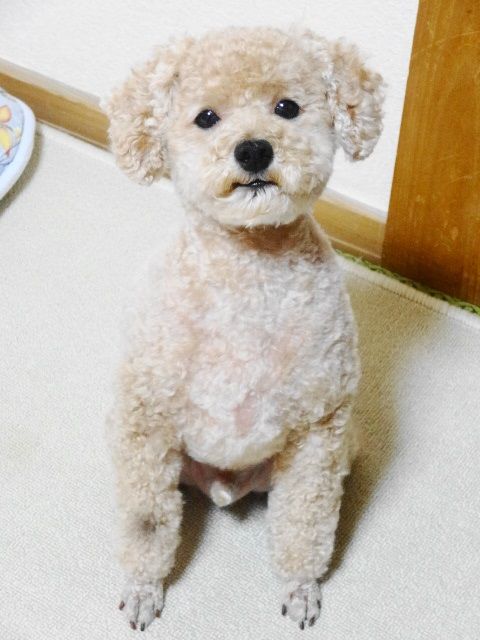 イメージ 3