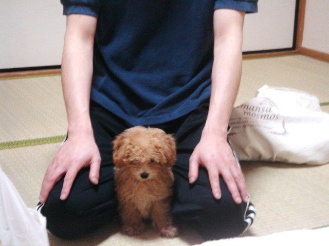 イメージ 7