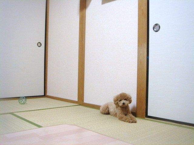 イメージ 4