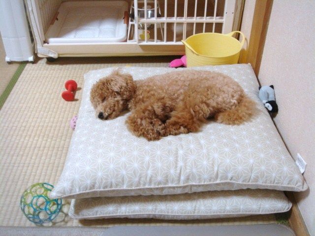 イメージ 4