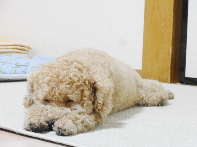 イメージ 2