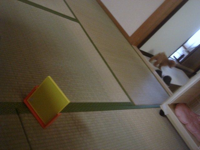 イメージ 5