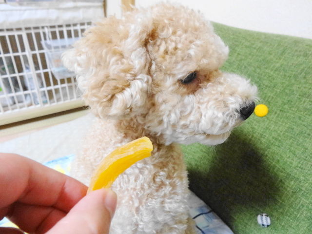 イメージ 5
