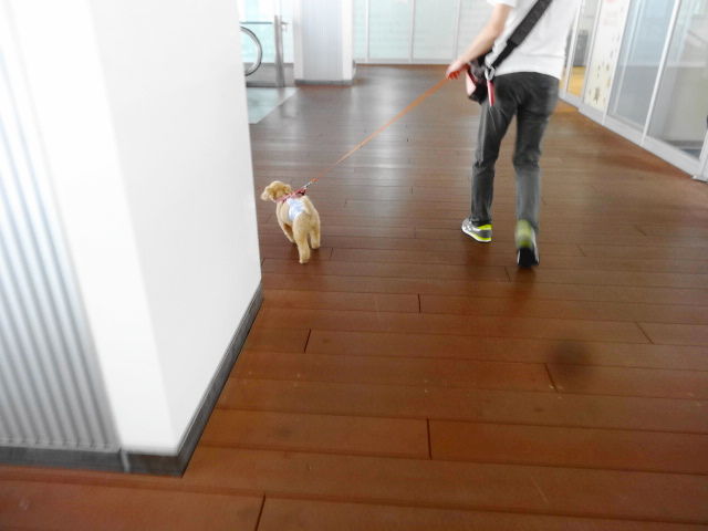イメージ 7