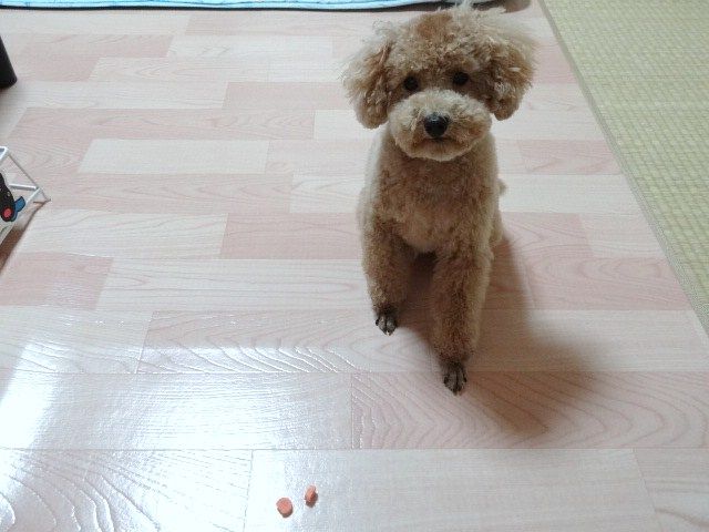 イメージ 3