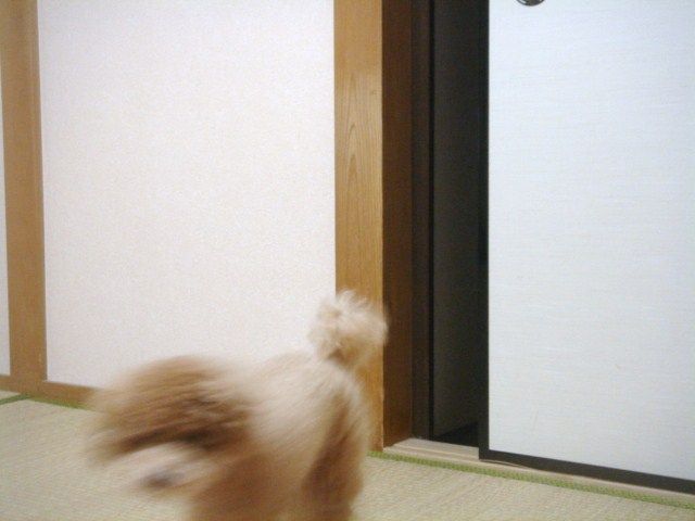 イメージ 10