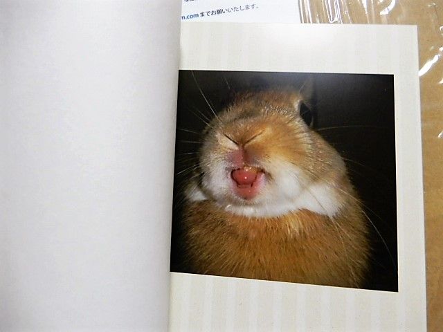 イメージ 3