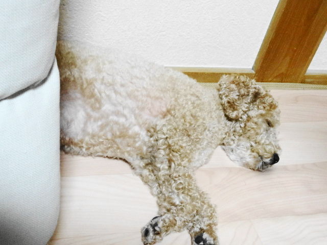 イメージ 3