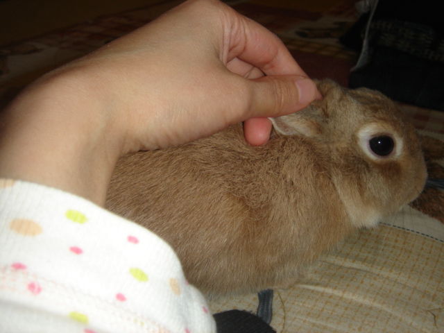 イメージ 3