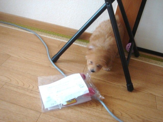 イメージ 6