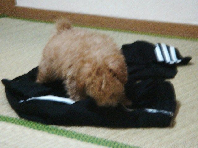 イメージ 1