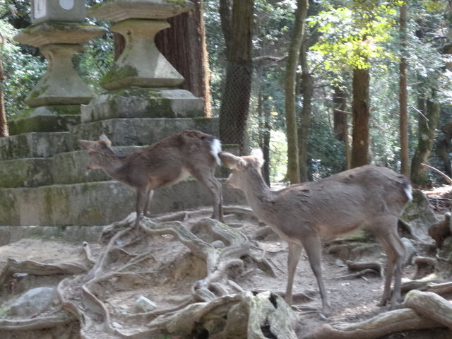 イメージ 6