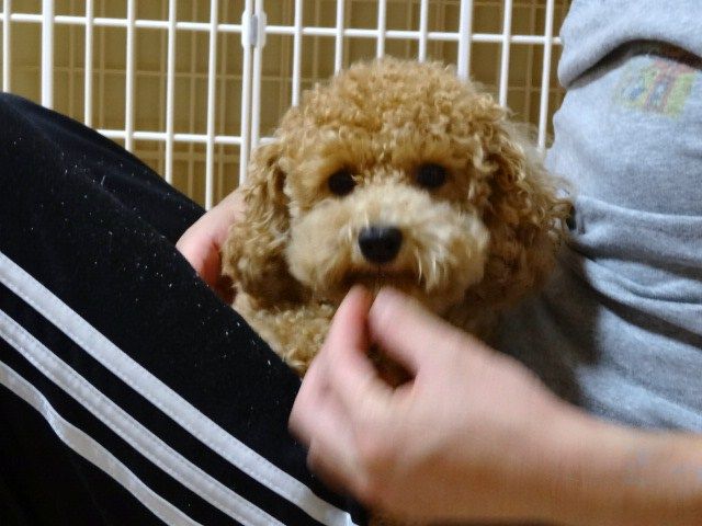 イメージ 2