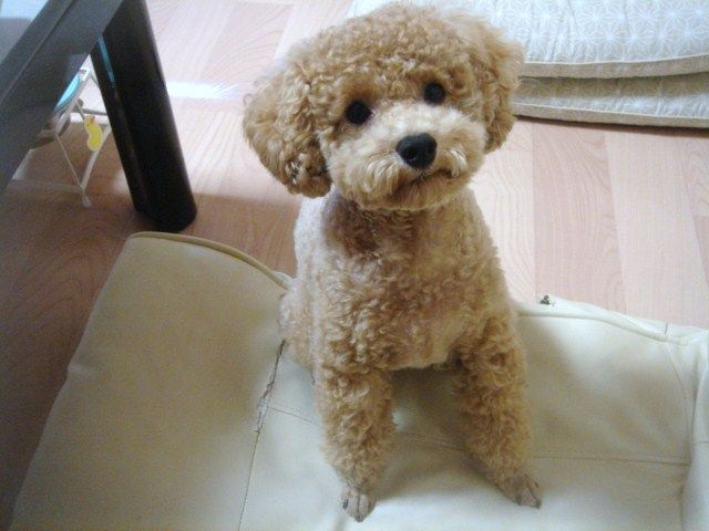イメージ 9