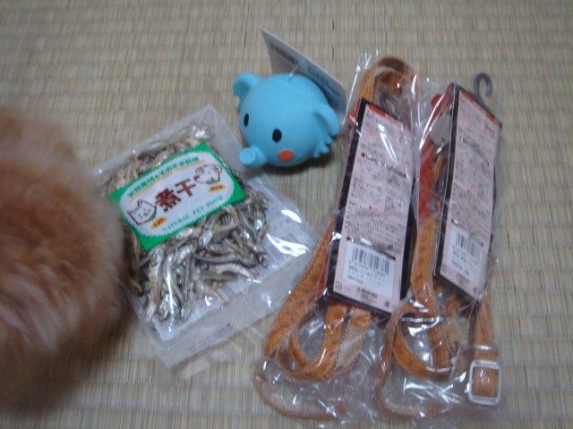 イメージ 1