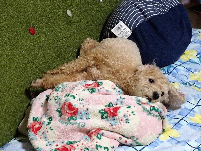 イメージ 1