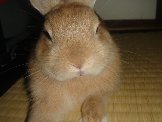イメージ 2