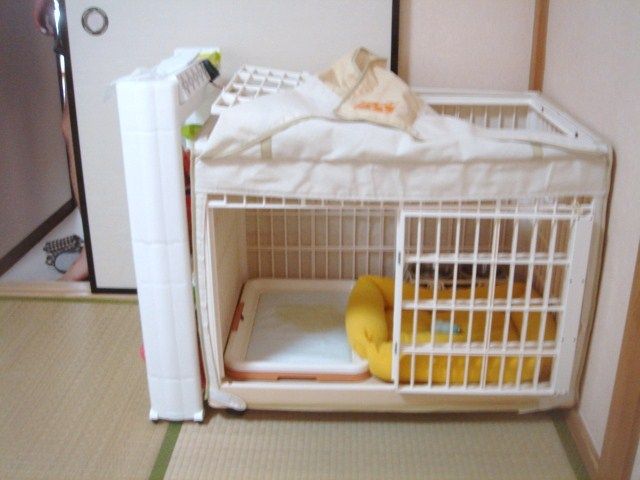 イメージ 9