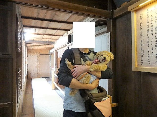 イメージ 7