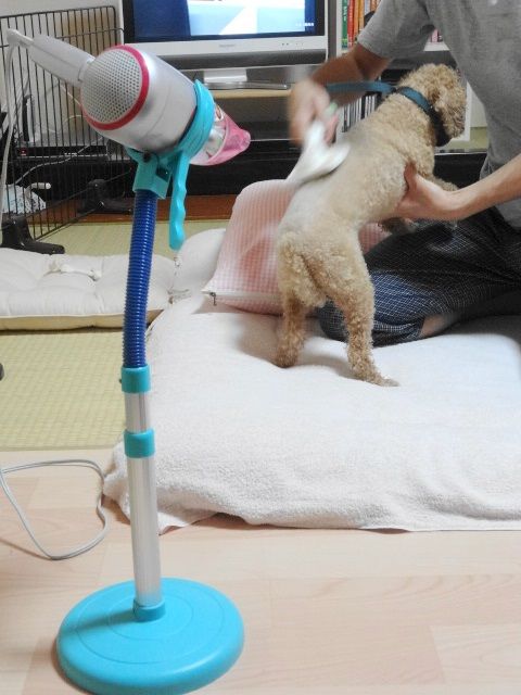 イメージ 3