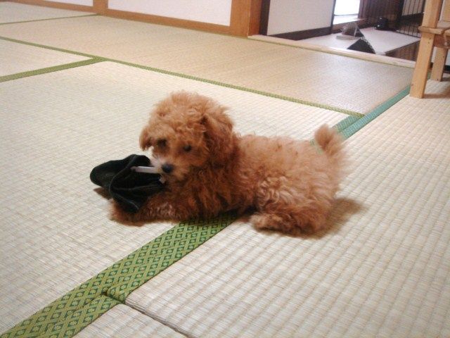 イメージ 3
