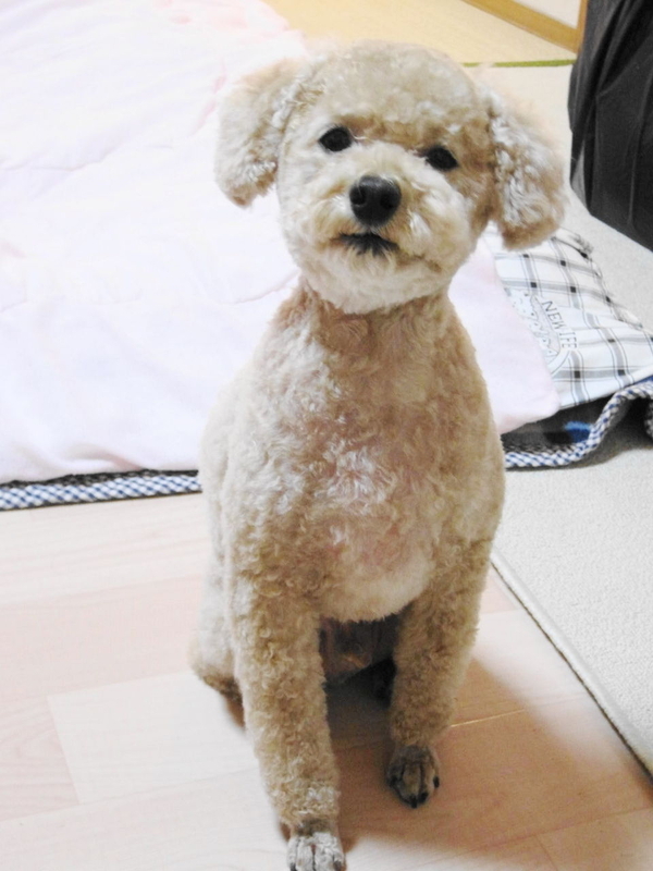 イメージ 1