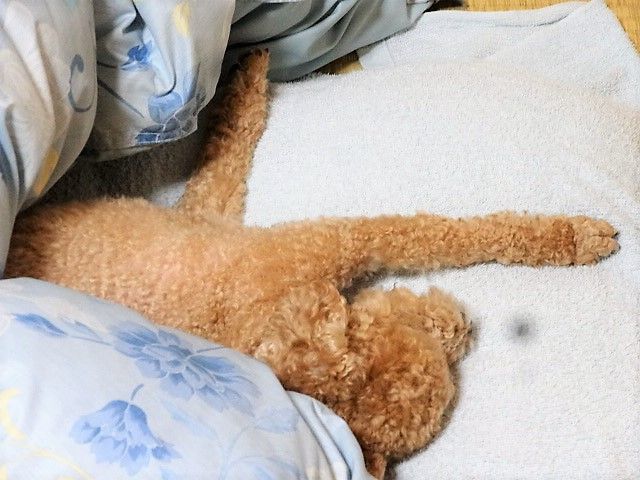 イメージ 9