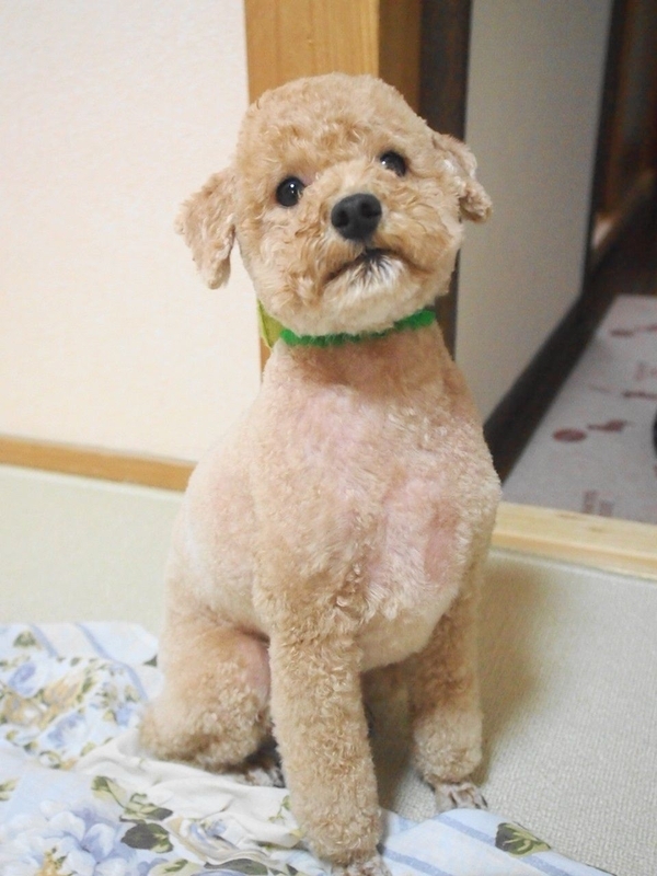 イメージ 1