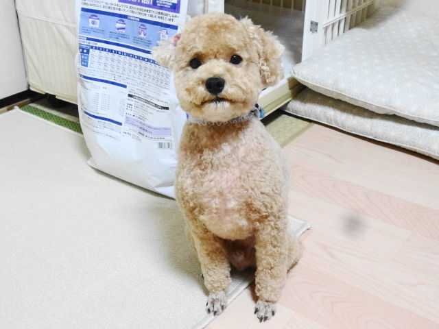 イメージ 3