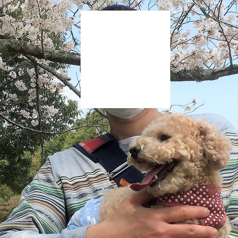 イメージ 4