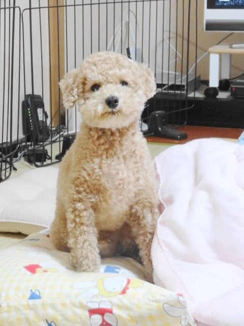 イメージ 4