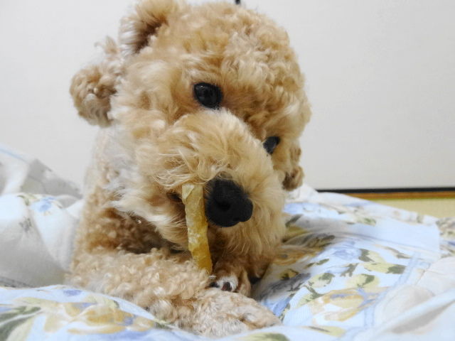 イメージ 4
