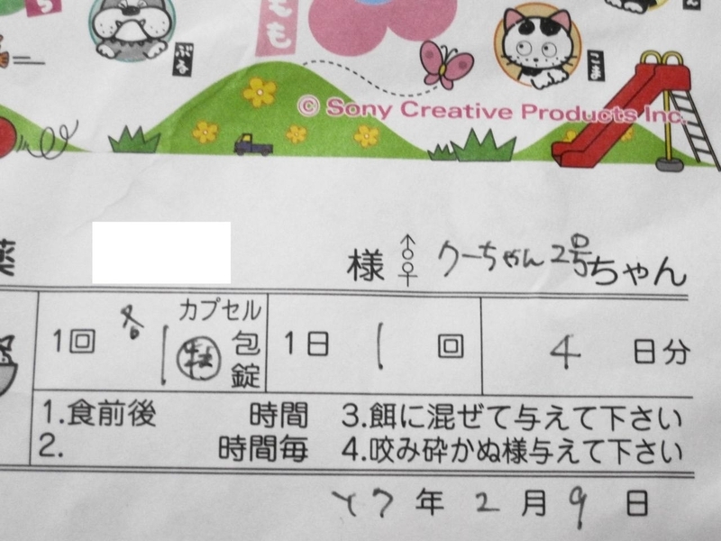 イメージ 4