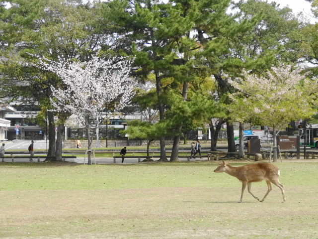 イメージ 9