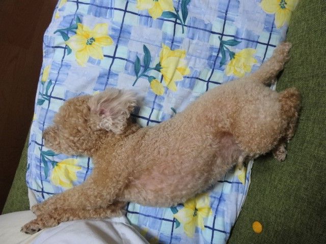イメージ 4