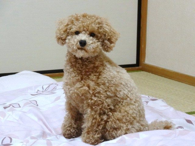 イメージ 6
