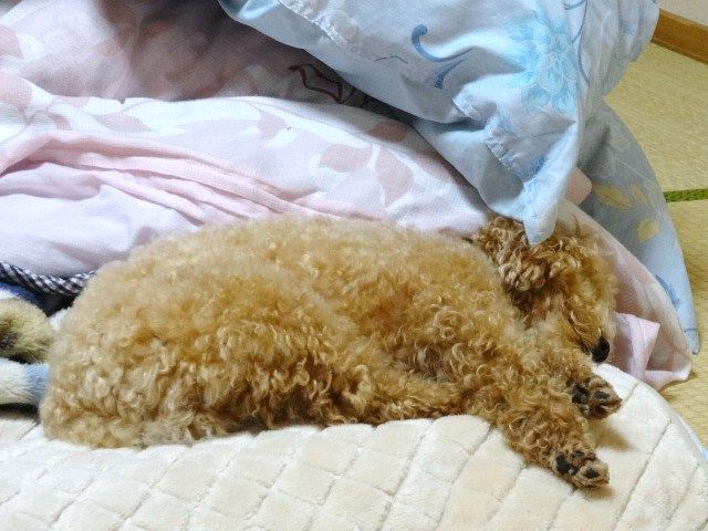 イメージ 3