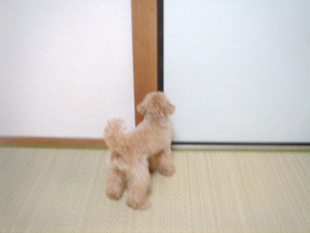 イメージ 9