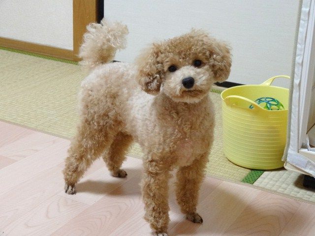 イメージ 1